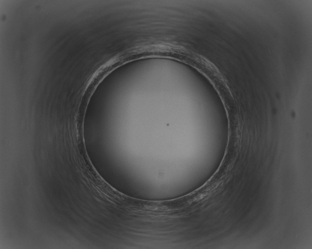 X0000087511218200704270745