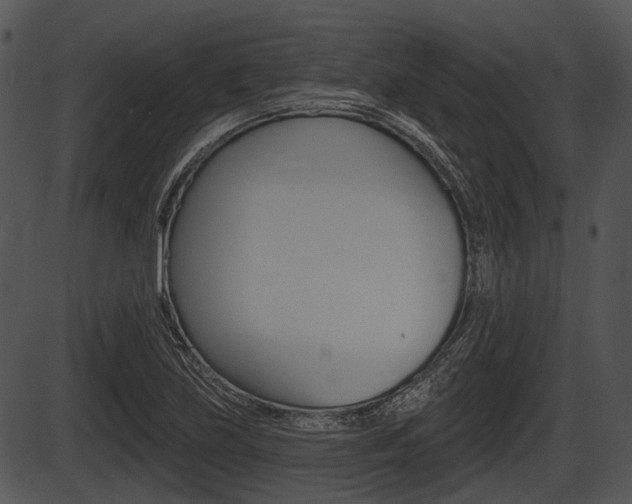 X0000087511219200704270745