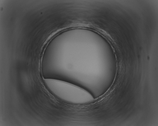 X0000087511220200704270745