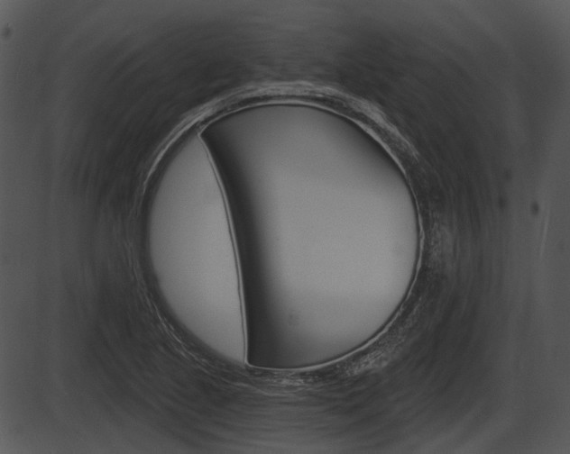X0000087511221200704270745