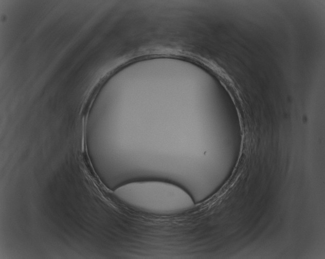 X0000087511223200704270745