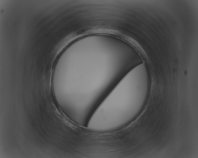 X0000087511228200704270745