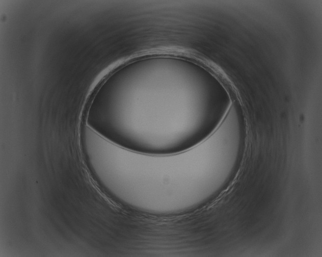 X0000087511230200704270745