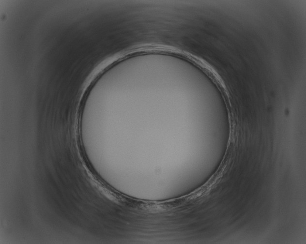 X0000087511231200704270745