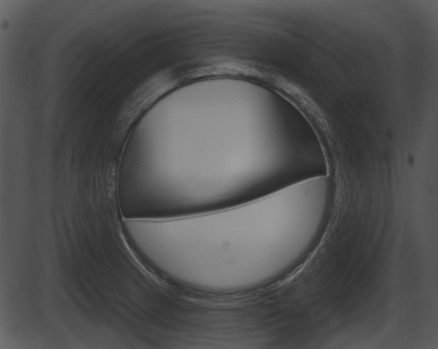 X0000087511233200704270745