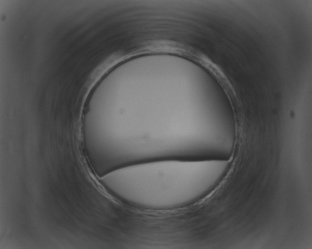 X0000087511236200704270745