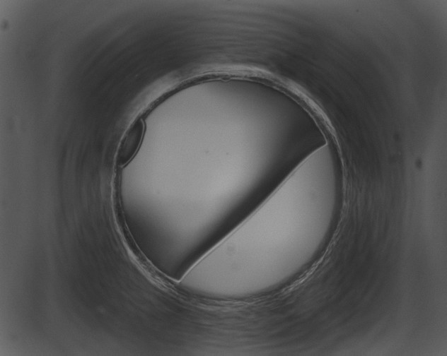 X0000087511237200704270746
