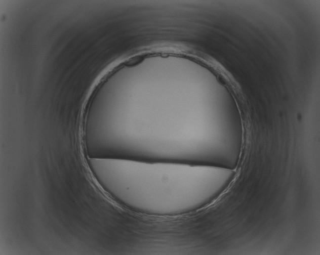 X0000087511240200704270746
