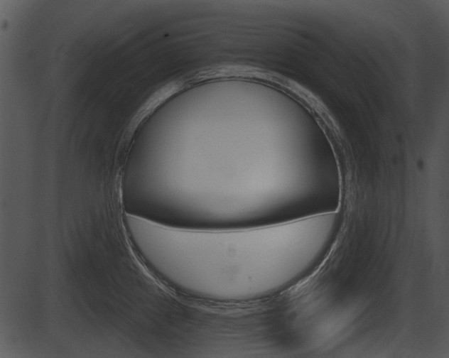 X0000087511241200704270746