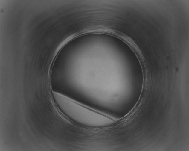 X0000087511242200704270746