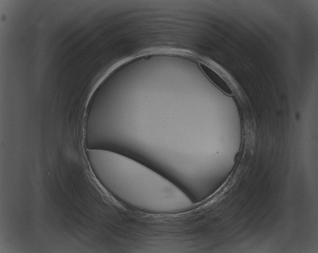X0000087511244200704270746