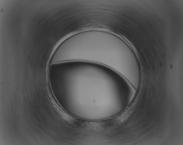 X0000087511246200704270746