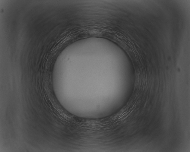 X0000087511249200704270745