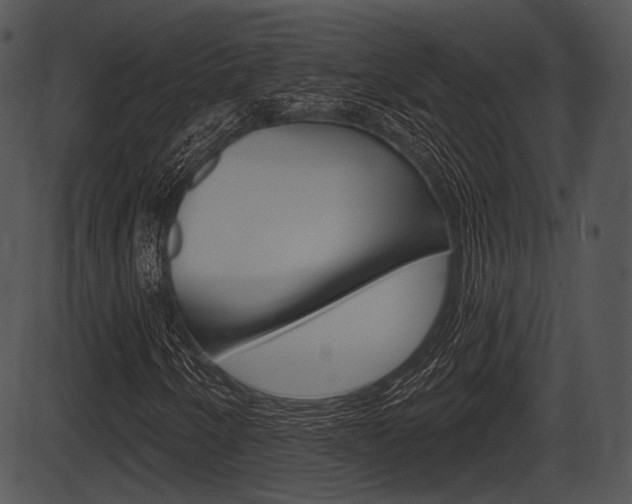 X0000087511250200704270745