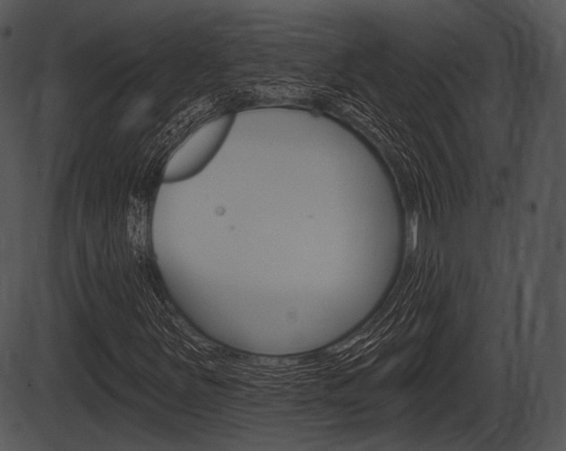 X0000087511251200704270745