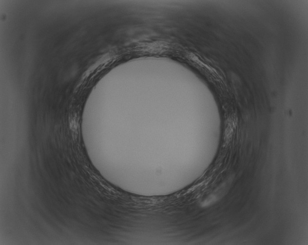 X0000087511254200704270745