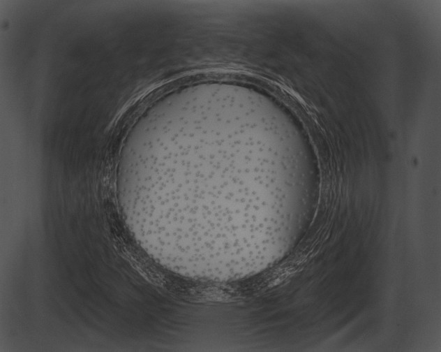 X0000087511255200704270745