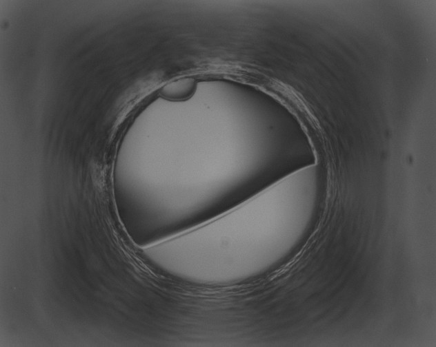 X0000087511260200704270745