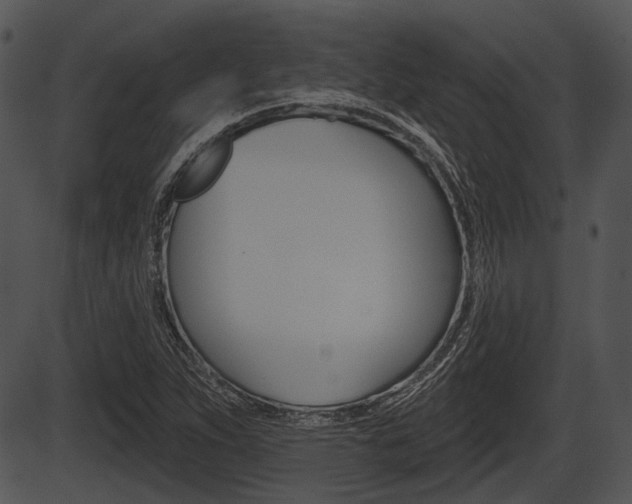 X0000087511263200704270745