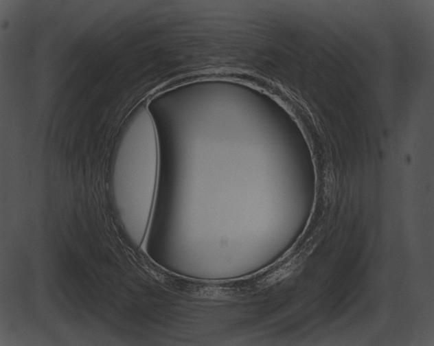 X0000087511265200704270745