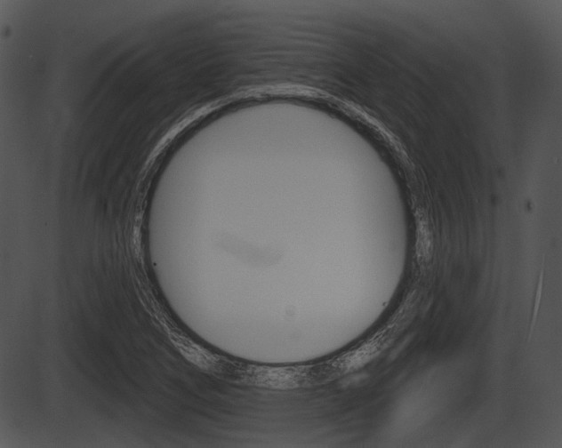X0000087511266200704270745