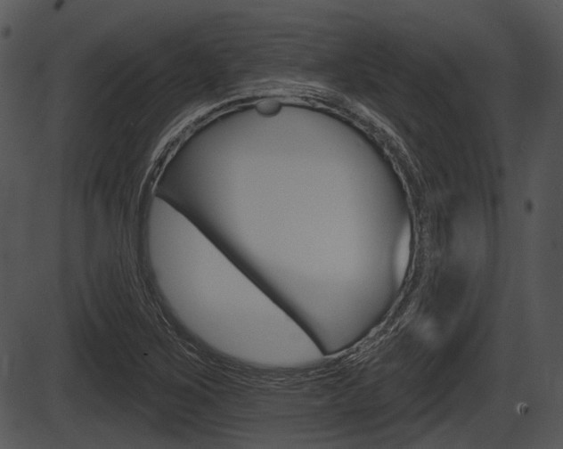 X0000087511267200704270745