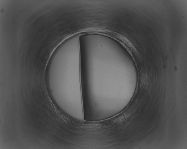 X0000087511268200704270745