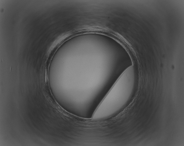 X0000087511269200704270745