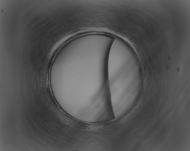 X0000087511271200704270745