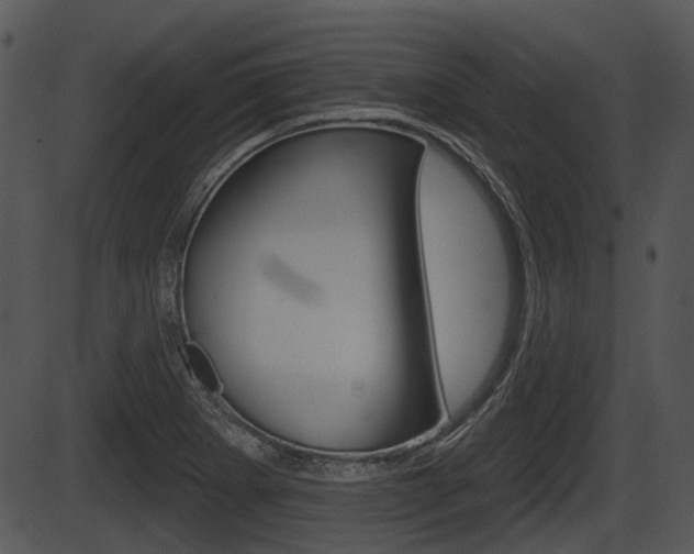 X0000087511273200704270745