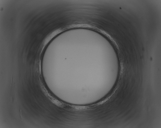X0000087511274200704270745