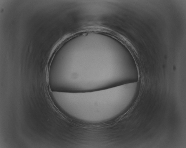 X0000087511275200704270744