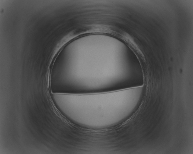 X0000087511276200704270744