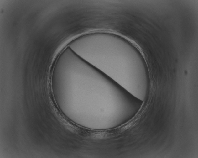 X0000087511279200704270744
