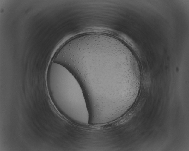 X0000087511283200704270744