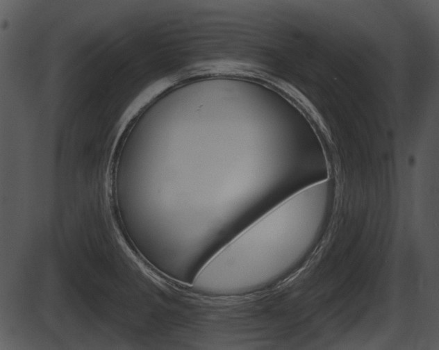 X0000087511285200704270744