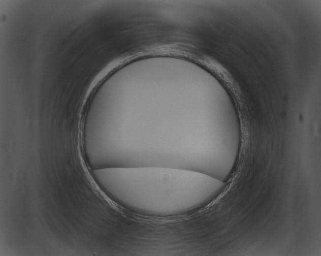 X0000087511286200704270744