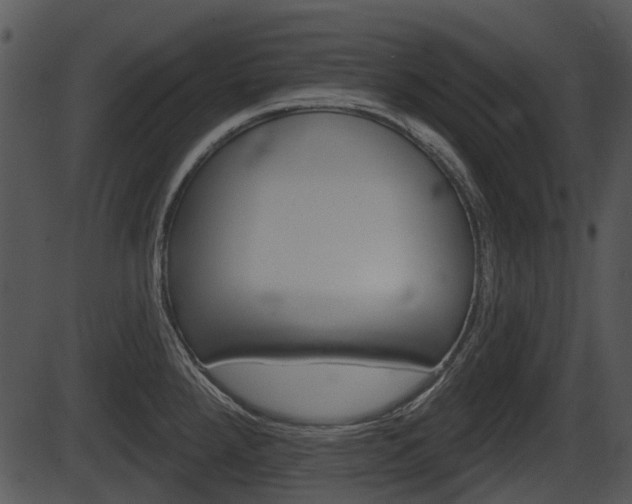 X0000087511288200704270744
