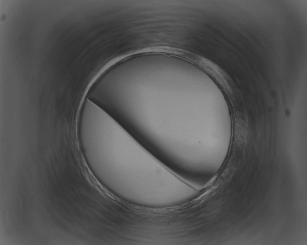 X0000087511292200704270744