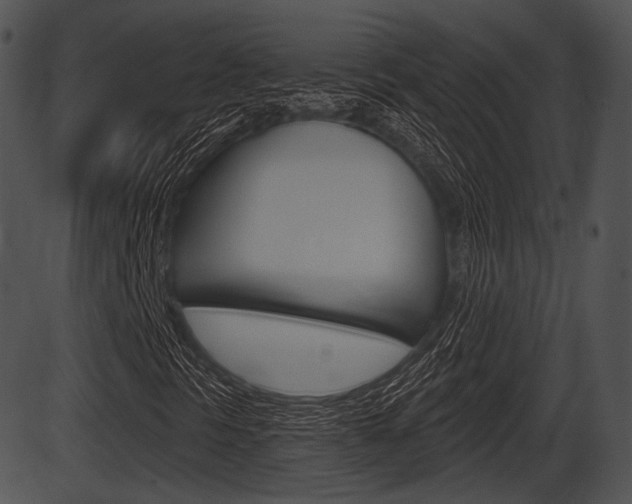 X0000087511297200704270743