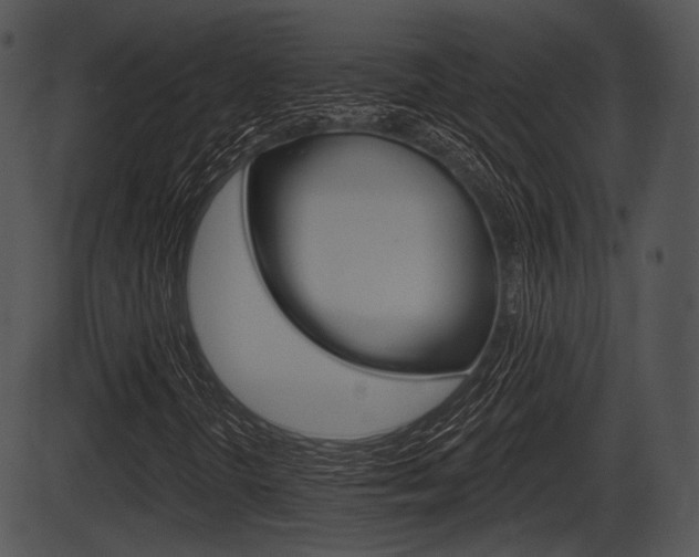 X0000087511298200704270743