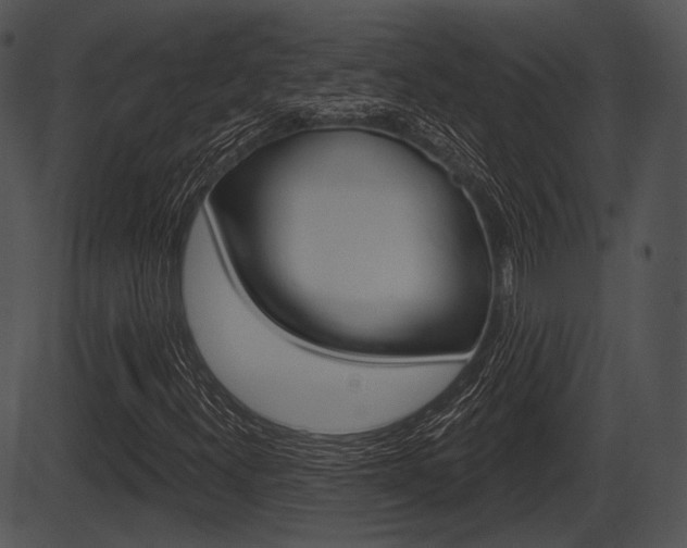 X0000087511300200704270743