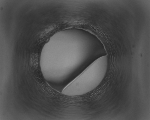 X0000087511301200704270743