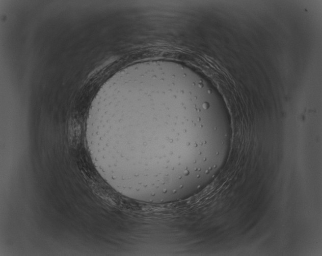 X0000087511302200704270743