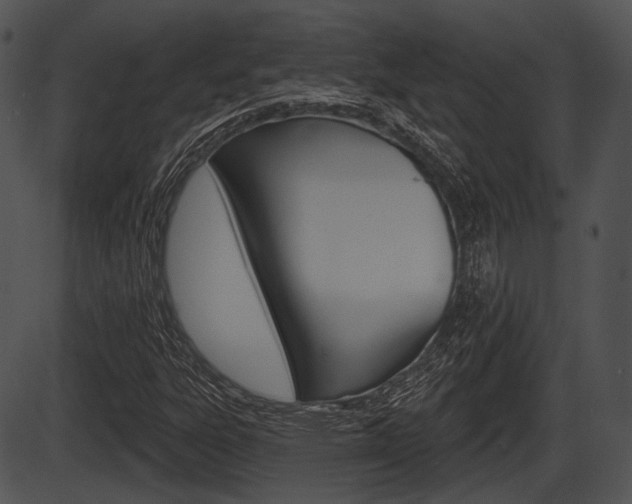 X0000087511303200704270743