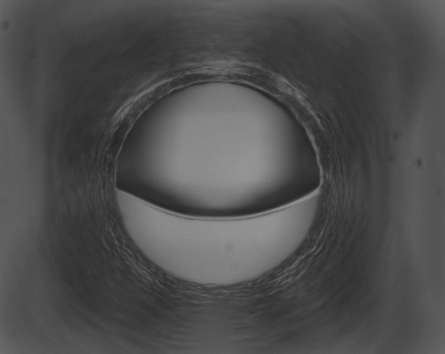 X0000087511304200704270743