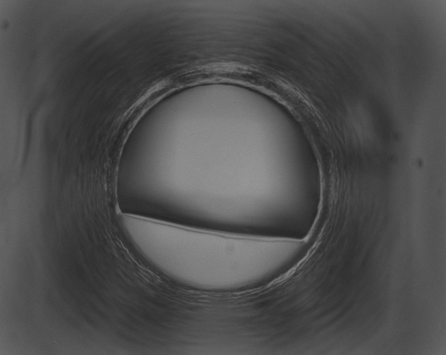 X0000087511305200704270743