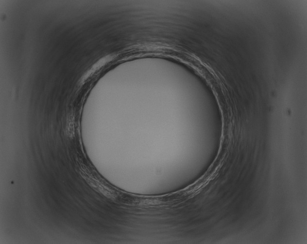 X0000087511306200704270744