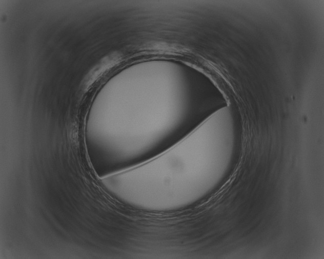 X0000087511307200704270744