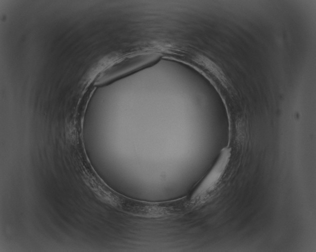 X0000087511308200704270744